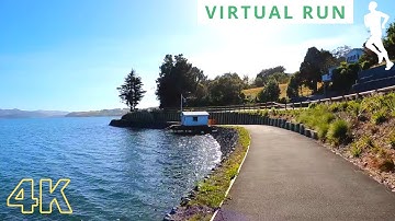 Virtual Running Videos For Treadmill With Music | 30 Minute Virtual Run