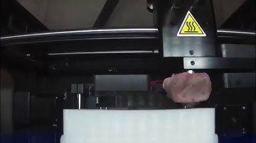 Wanhao Duplicator 6 - Platform jack time laps