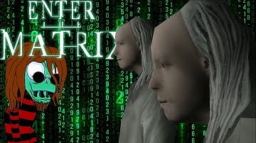 #6 Близнецы и повелительница столбов ■ Прохождение Enter the Matrix