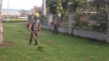 DỊCH VỤ CẮT CỎ 0964650636