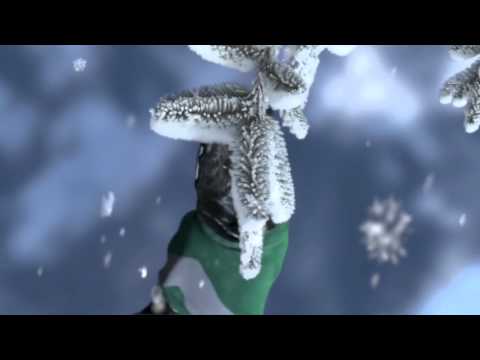 David Rutter Introduces SSX at E3
