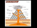Revision for February’s test