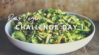 30 DAY RAW VEGAN CHALLENGE | Spicy Coconut Curry Zoodles | DAY 1 | Korenn Rachelle screenshot 2