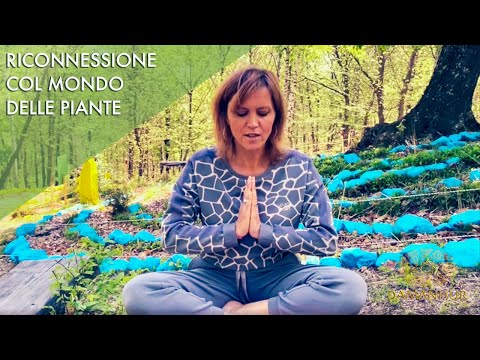 🔴 Collegati alle Piante, agli Alberi e alla Terra - Meditazione Guidata dal Bosco Sacro