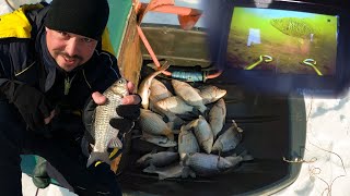 :         RoMaX Fishing 