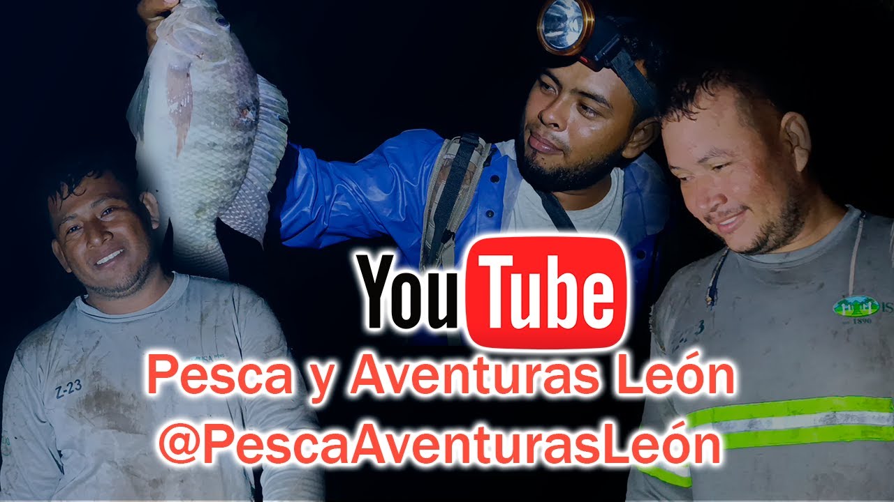 Pescando Tilapias, Guapotes,  y Pescado Guicho en Río una aventura nocturna en 