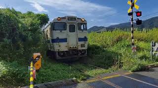コアラの駅とJR踏切（The station with Koala 、and JR railroad crossings）