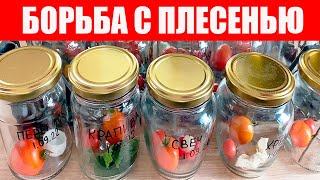 Тест 20 Средств, Как Сохранить Томаты На Зиму