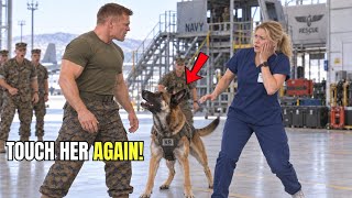 A Marine Punched the Quiet Nurse — Then the K9 Broke Formation