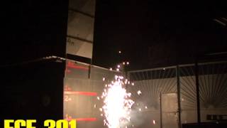 FGF 301