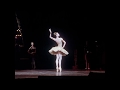 Sylvie Guillem Raymonda , Francesco Libetta piano の動画、YouTube動画。