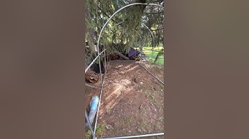 Building a new quail aviary Part 1