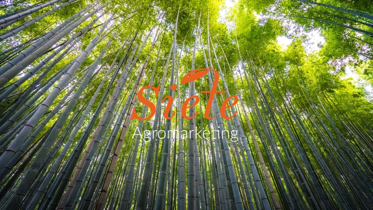 Cultivamos ideas, hacemos crecer las emociones / Siete Agromarketing