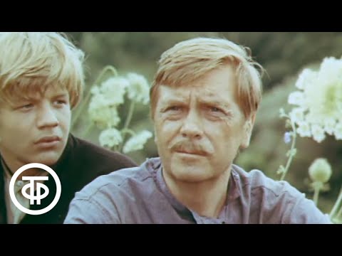 Школа. Серия 2. Чубук. Художественный фильм по повести Аркадия Гайдара (1980)