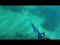 Неглубокая подводная охота в Черном море.
