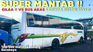 Greget !! Balapan Bus Malinda Vs Bus Akas Viral | Trip Bus Malinda Surabaya Malang