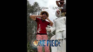 Altura do Bando de One Piece #onepiece #edit #cutebabies