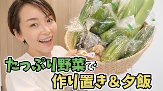 野菜たっぷり４品作り置き＆夕飯作り【季節の高知野菜】