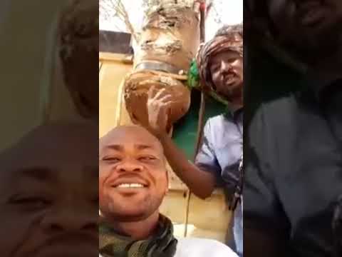 القوات المشتركة في الفاشر فاشر السلطان الجيش السوداني حميدتي البرهان حميدتي