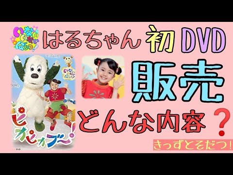 いないいないばあっ！DVD6点➕2点おまけ　まとめ売り　はるちゃん　ことちゃん いないいないばあっ！DVD6点➕2点おまけ まとめ売り はるちゃん