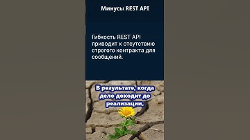 Словарь тестировщика. Минусы REST API.