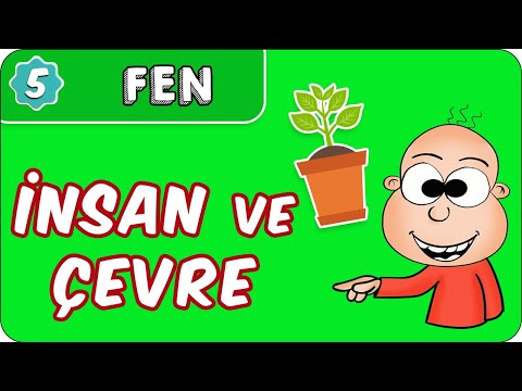 İnsan ve Çevre  | 5. Sınıf Fen evokul Kampı