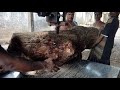 Perfect Finish of Wood Cutting In Saw Mill by Expert Saw Workers in Rural Area of Aisa Bangladesh Perfect Finish of Wood Cutting In Saw Mill by Expert Saw Workers in Rural Area of Aisa Bangladesh