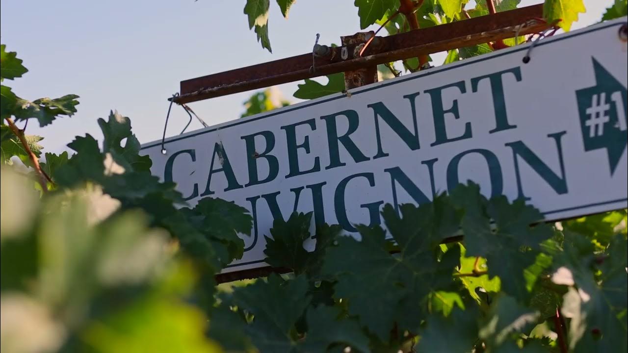 Alexander Valley Vineyard and Home 27750 Asti Road, Cloverdale YouTube