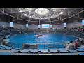 [ClariS] Sakurasaku dolphin show / 桜咲く イルカショー [4K/tripod]