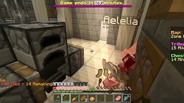 Potential Hacker in MC Central Survival Games - Aelelia