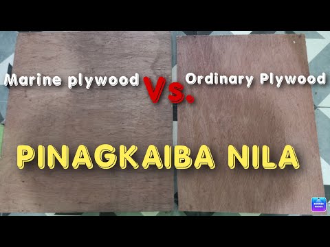 Video: Mga uri ng plywood. Pinakamahusay na uri ng plywood, kapal, aplikasyon