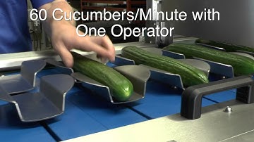 Cucumber cutting, turning and auto feed system - D&D Engineering (Hull) Ltd.