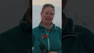 #camping  in Antarctica – A Night Under the Polar Sky!