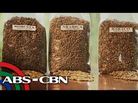 Video: Mga Pagkakaiba-iba Ng Kape