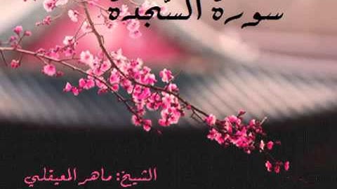 سورة السجدة l الشيخ: ماهر المعيقلي HD