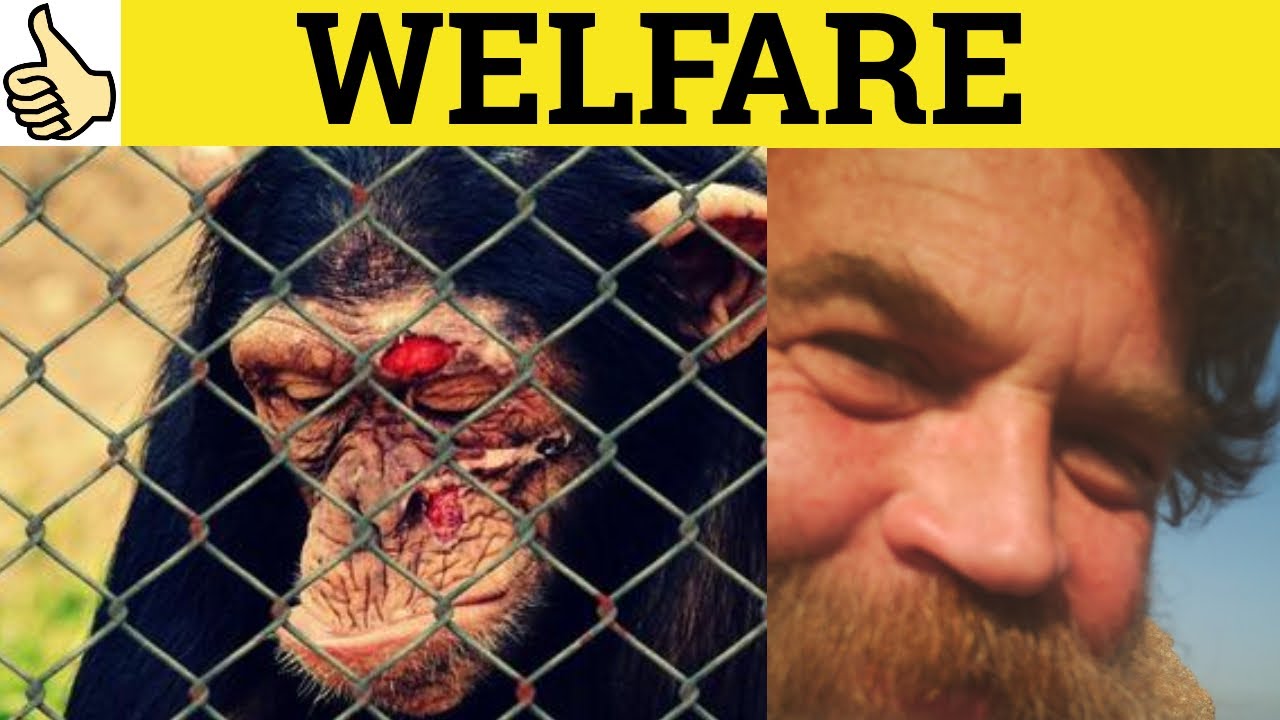 🔵 Welfare - Welfare Meaning - Welfare Examples - Welfare Definition