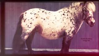 Equi-Connect