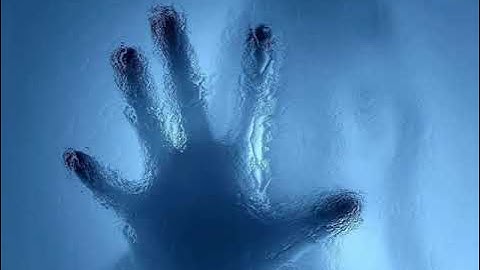 Windows XP ZverCD (2007) Wallpaper