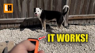 Dog Ultrasonic Trainer and Bark Deterrent - Works on my Dog!