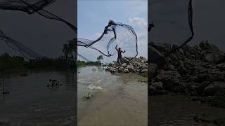 How big is the fisherman catching fish by jumping from the gate?#amazing_net_fishing #shorts