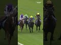 NEVER SO BRAVE is very brave to win the G1 City Of York Stakes... 🏆 #EborFestival