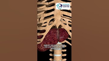 How does the liver get damaged ? | Symptoms and prevention tips