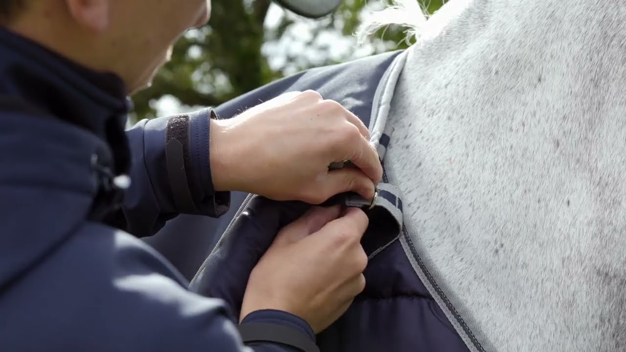 LeMieux Arika 2022 | New Horse Rugs & Accessories