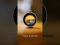 Get Ultra Shallow Depth Of Field With TTArtisan 50mm F0 95 Lens 