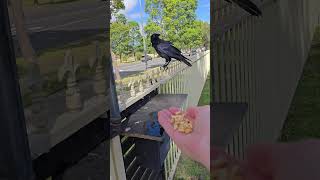 Just A Quick Hello Thanks Stefan