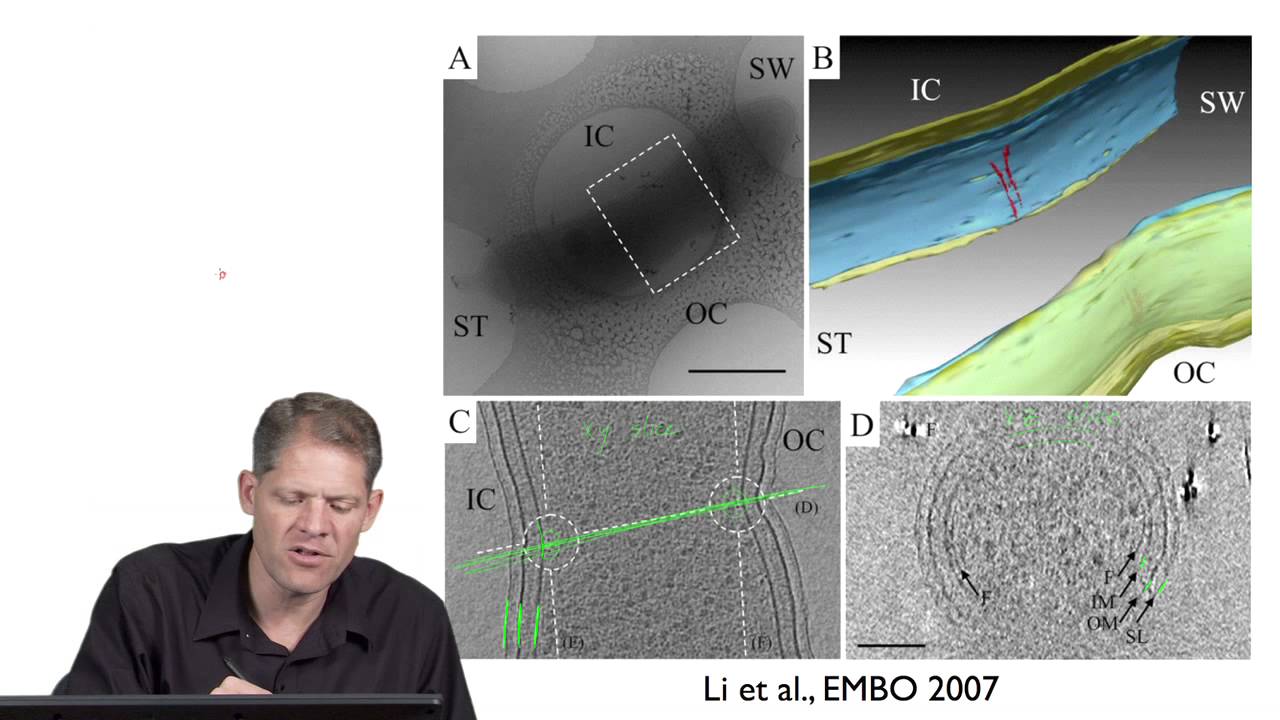 ⁣Part 5: Tomography Limitations - G. Jensen