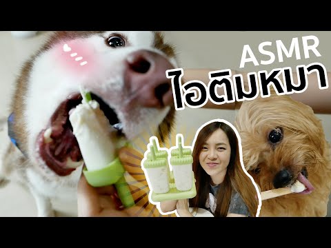 วีดีโอ: วิธีทำไอศกรีมสำหรับสุนัข