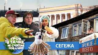 Трое в тачке, не считая собачки | Сегежа