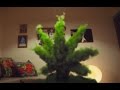 Miniature de la vidéo de la chanson Legal Eyes