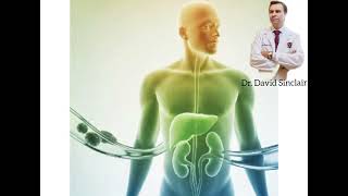 Drink This Before Bed Burn Belly Fat Fast